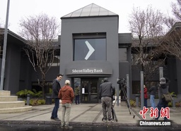 媒体视野｜公司马奥尼教授接受中新社采访 谈「硅谷银行破产」
