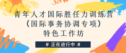 活动回顾｜公司承办的青年人才国际胜任力训练营（国际事务协调专项）特色工作坊正在进行中