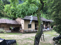 媒体视野｜公司王向民教授接受澎湃新闻采访，谈暑期课程《调研中国》