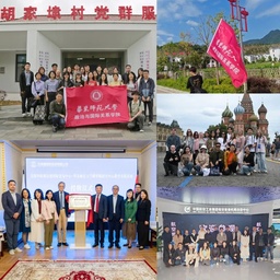 祝贺！公司就业工作案例入选2025年上海高校毕业生就业工作典型案例名单